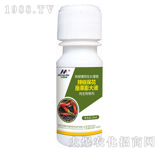 �������Ƅ�-���������������Һ-��ķ˹��