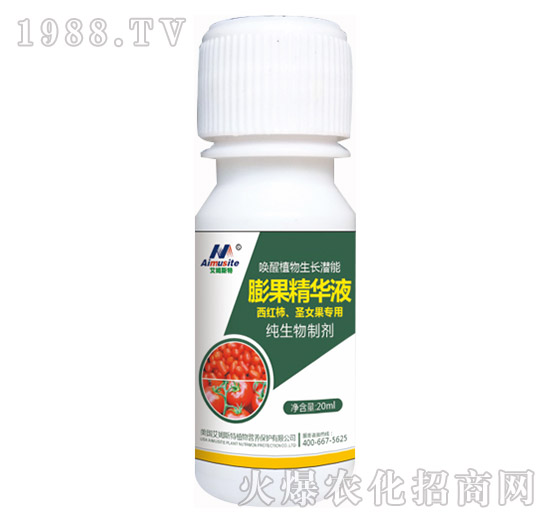 �������Ƅ�-���t����ʥŮ������-��ķ˹��