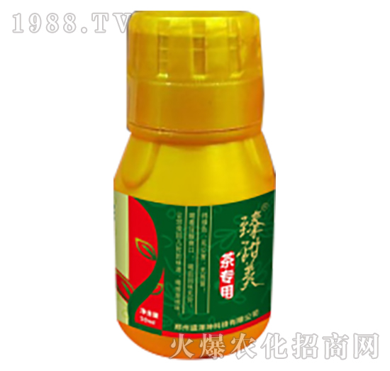 �茣(zhu��n)��-������-ʢ����