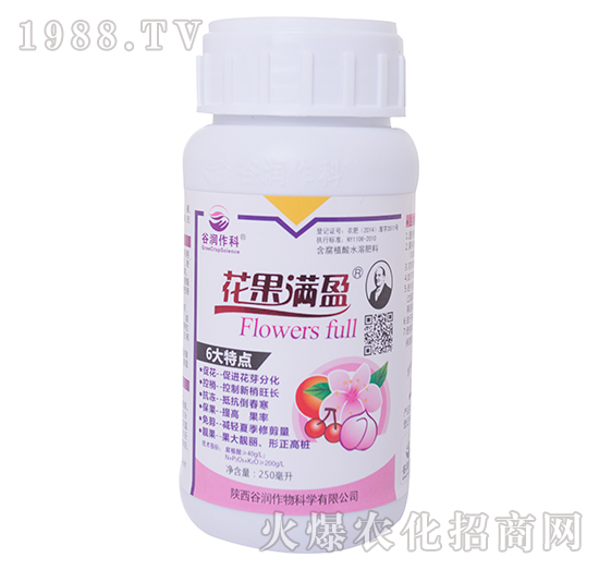 �����Mӯ-�ȝ�����