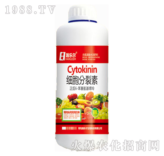 ��(x��)��������-嫘�(l��)��