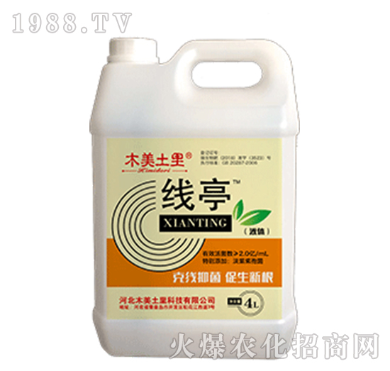 ��ͤ-ľ������