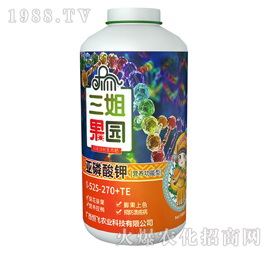 �I�B(y��ng)�����́������-������@-���w�r�I(y��)