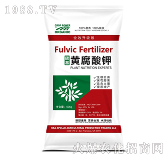 ̼���S�����-���w�r(n��ng)�I(y��)