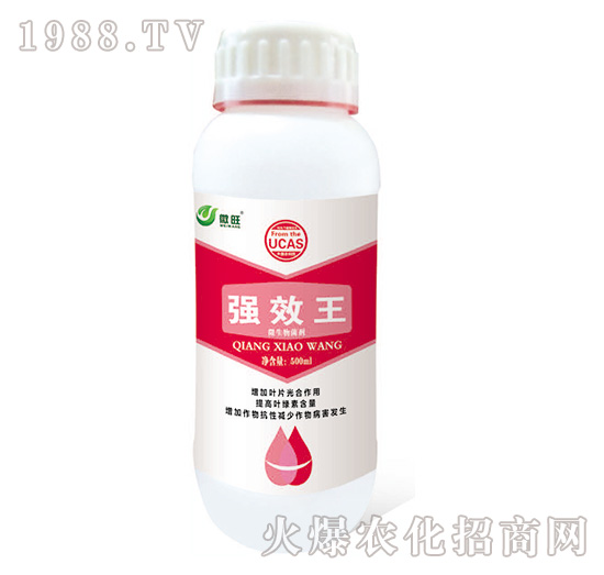 ��Ч��-΢��-���S���