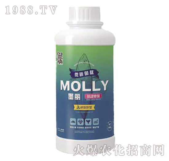 ī�������ޏ�(f��)-����