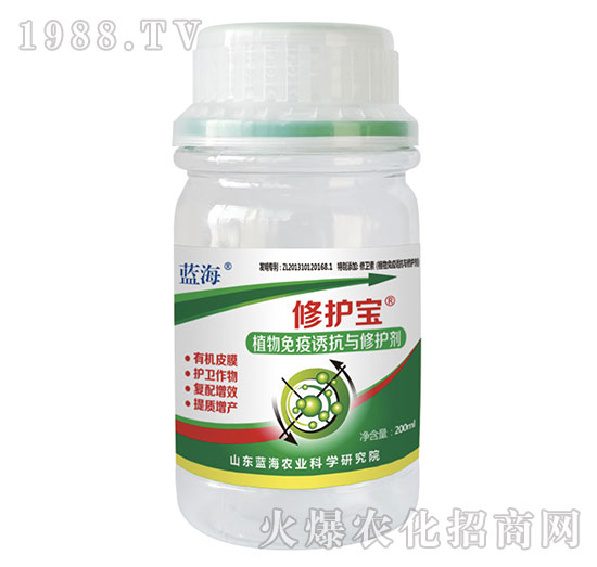 ֲ�������T���c���o��-���o��-�{��