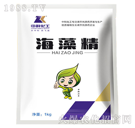 ���徫-�пƻ���