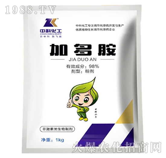 �Ӷష-�пƻ���