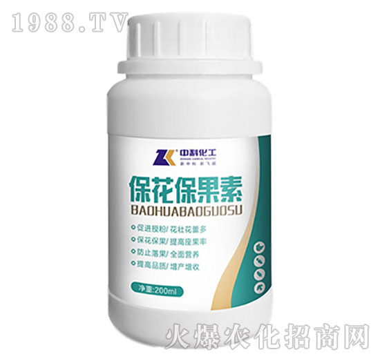 ����������-�пƻ���