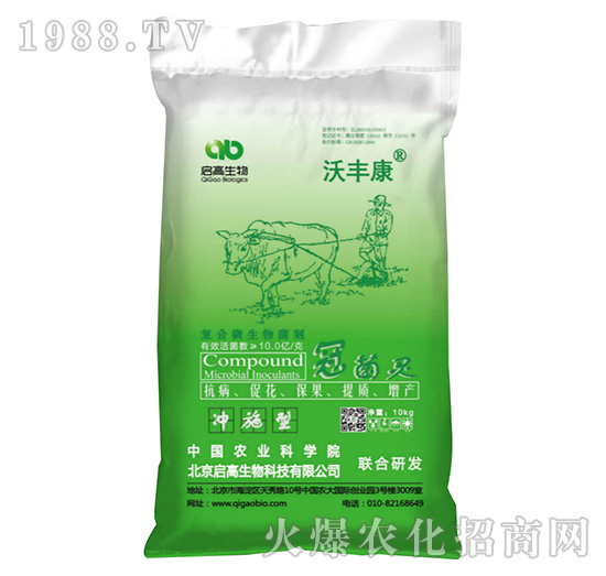 ��(f��)��΢�������-�ھ��`-���S��-��������