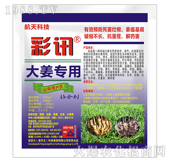 �󽪌��ÿ������a(ch��n)�`-��Ӎ-���S��