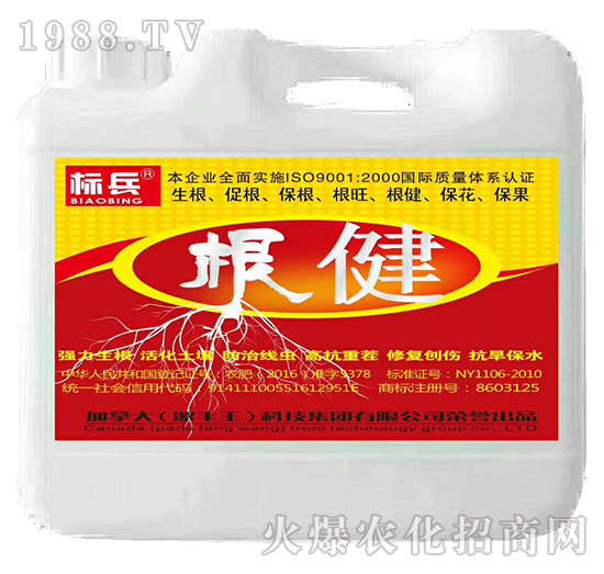 ����-�˱�-���S��