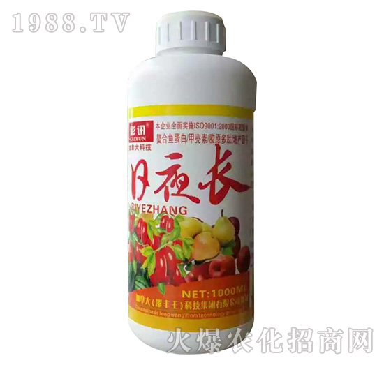 ��ҹ�L(zh��ng)-��Ӎ-���S��