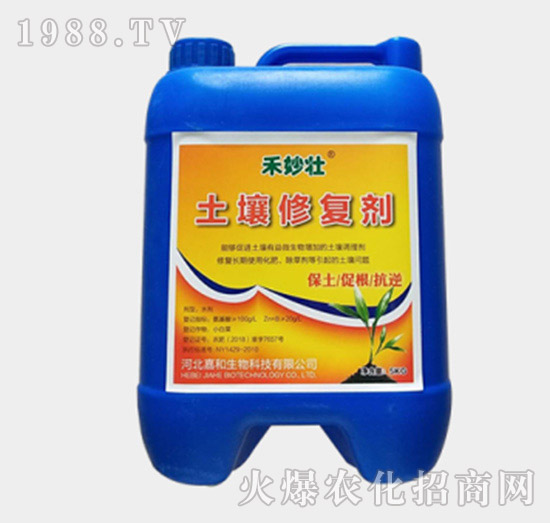 �����ޏ�(f��)��-�����-�W��ֲ��