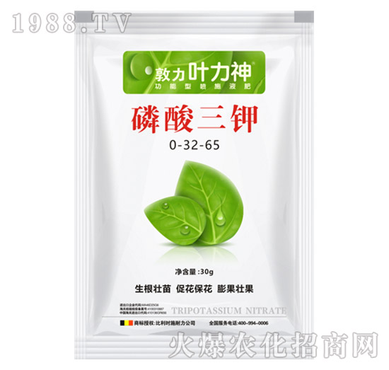 �������0-32-65-ʩ����