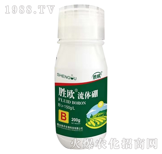 ���w��-�ٚW-ζ������