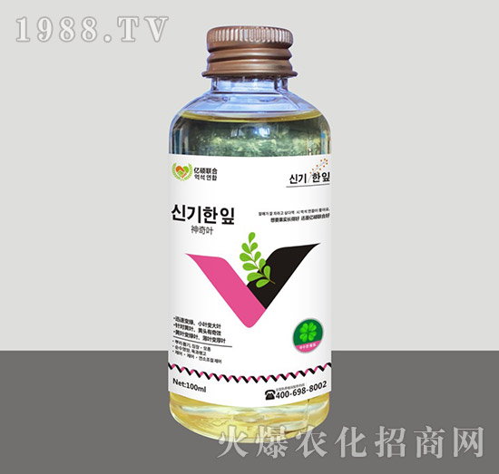 �����~-�R�Sֲ��