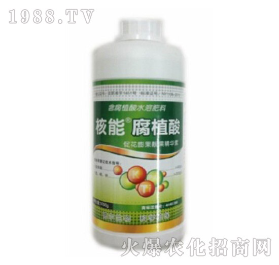 ��ֲ��-����-� �����