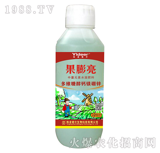 ��S�Ǵ��}�V���\-������-� �����