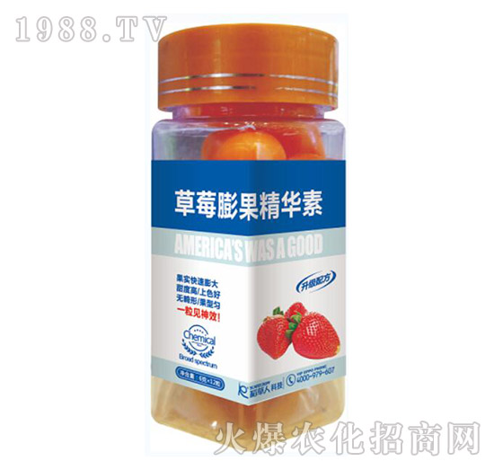 ��ݮ������A��-������