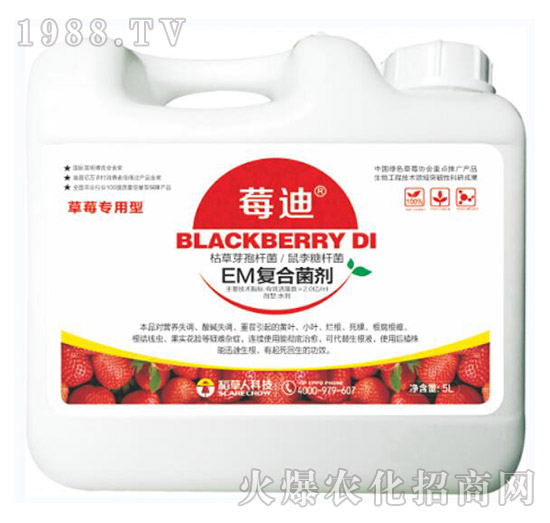 EM��(f��)�Ͼ���-ݮ��-������