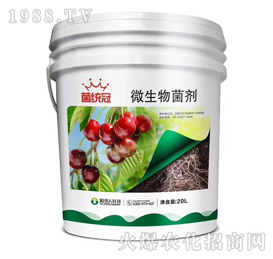 ΢�������-���y(t��ng)��-������