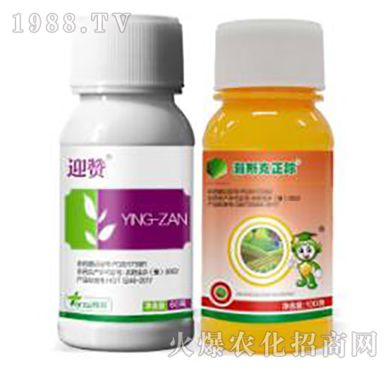 �˹����ۙ�M��-�˹����