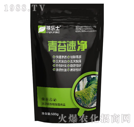 ��̦�ك�-�ژ�ʿ