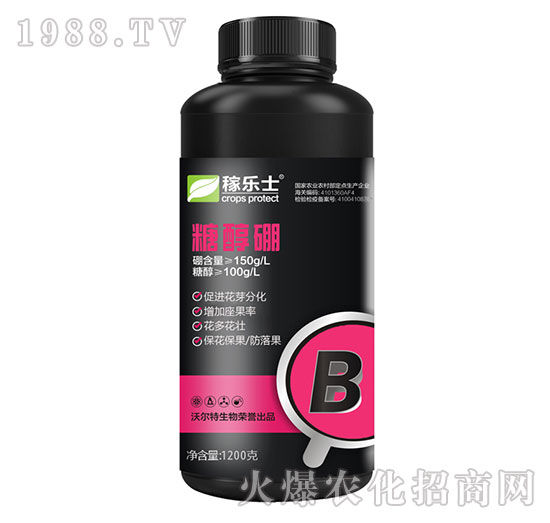 �Ǵ���-�ژ�(l��)ʿ