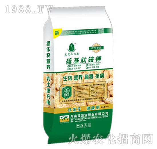 �������÷���-������@�-ɏԴ��