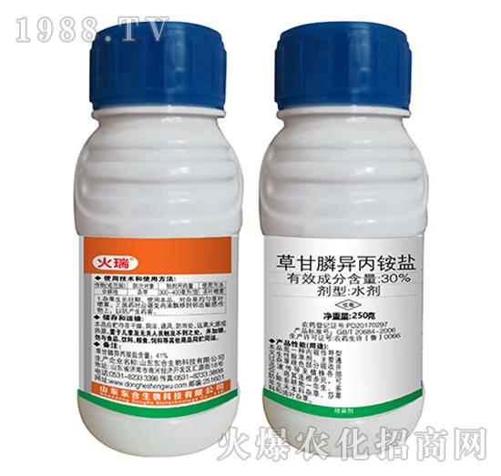 41%�ݸ�좮������}-����-�|������