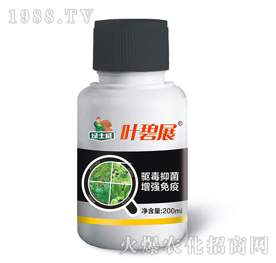 �~��չ-�Gʿ��