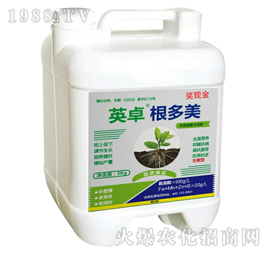 ������-Ӣ׿-������