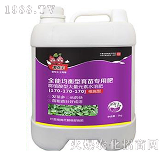 ȫ�ܾ��������猣�÷�170-170-170-�����-���A����(l��)