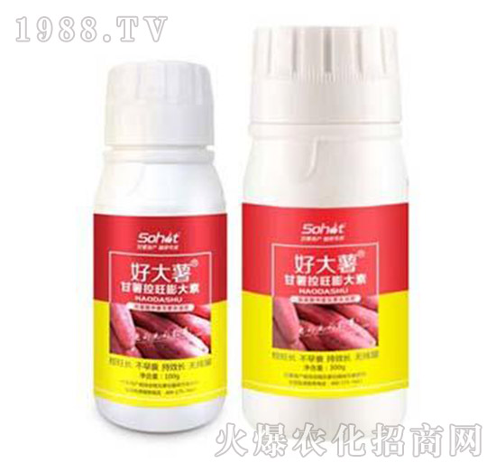 �������������-�ô���-���A����