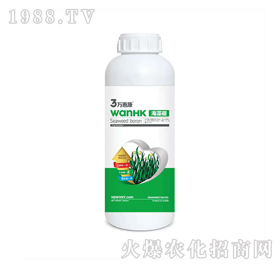 ������-�f�ݿ�