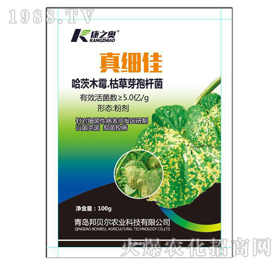 ����ľù���ݲ�ѿ�ߗU��-�漚(x��)��-��ؐ��