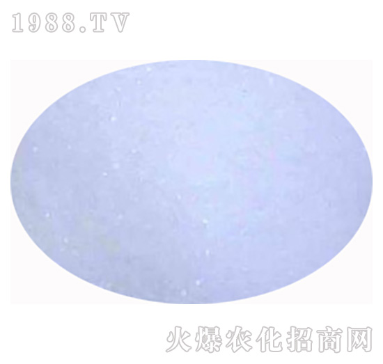 ���w�Ȼ��-����