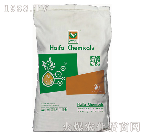 �����S-����