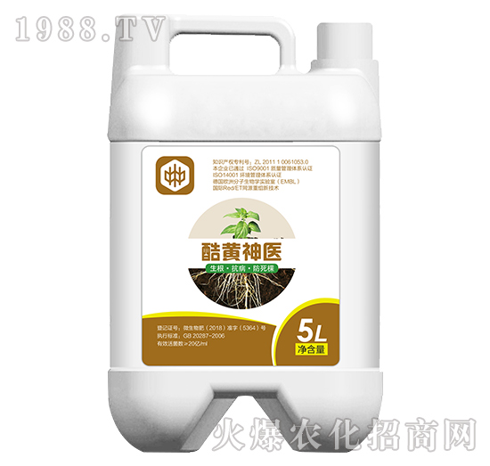 ���S���t(y��)�������������ã�-��ֲ(li��n)��