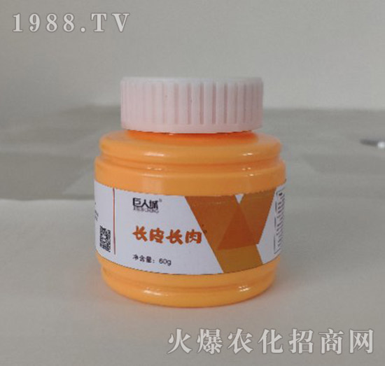 �L(zh��ng)Ƥ�L(zh��ng)��-���˳�