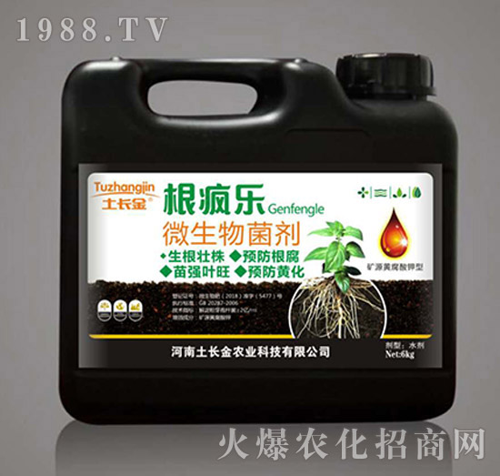 ΢�������-������-���L��