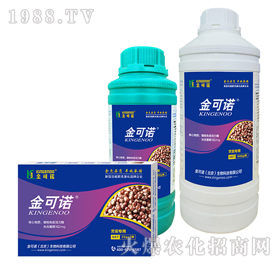 �͌�(sh��)����-����Z