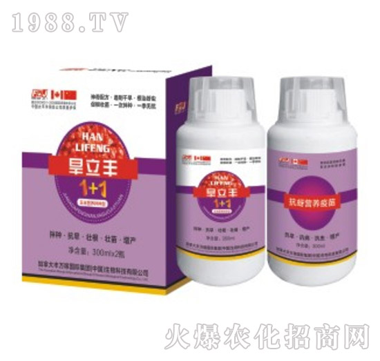 �����S���װ�N��-�S�f(w��n)��