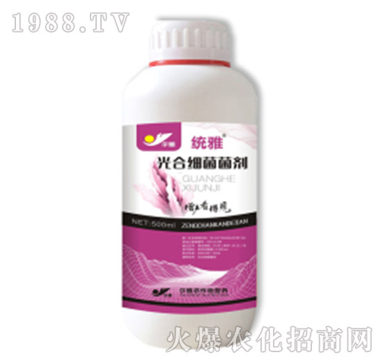 ��ϼ�(x��)������-�y(t��ng)��-Ǭ�r(n��ng)