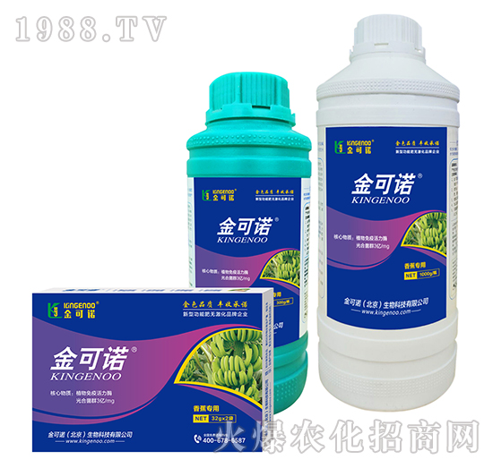 �㽶����-����Z