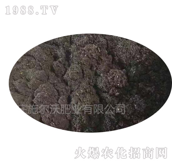 ��ĩ�w����-ʩ���ַʘI(y��)