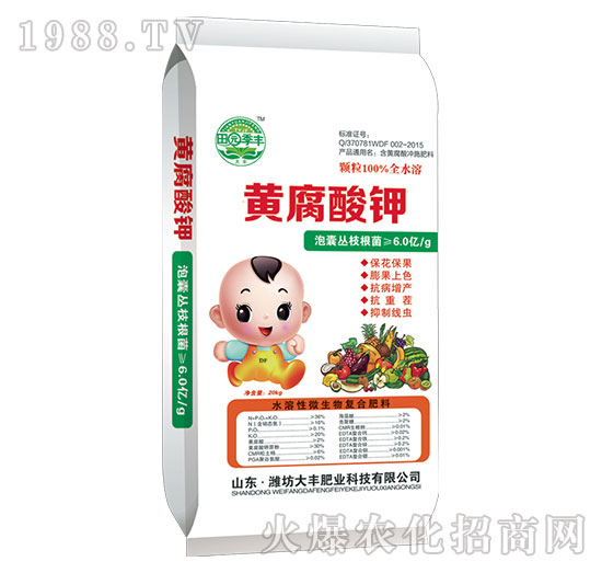 �S����⛛_ʩ��-��@���S-���S�ʘI(y��)