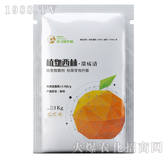 ֲ�����֡�������-������